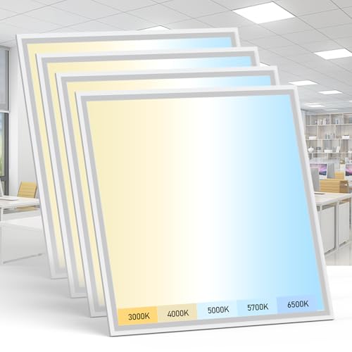 4 Pack 2x2 LED Flat Panel Light (4 Count)