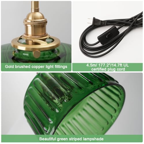 Vintage Plug in Pendant Light Fixture