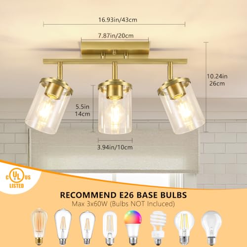 3 Lights Semi Flush Mount Ceiling Light