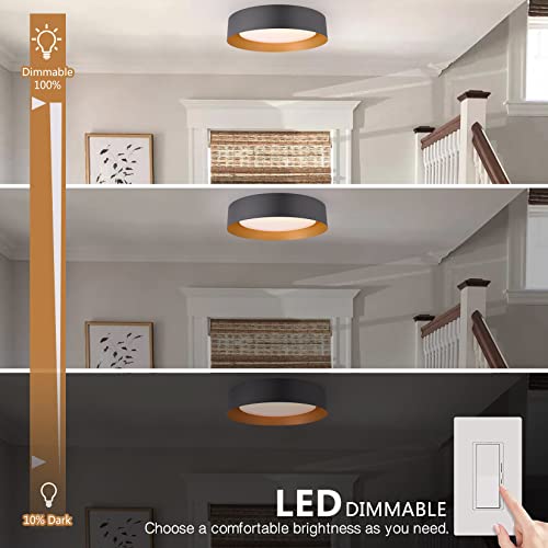 16.5 Inch Flush Mount Ceiling Light
