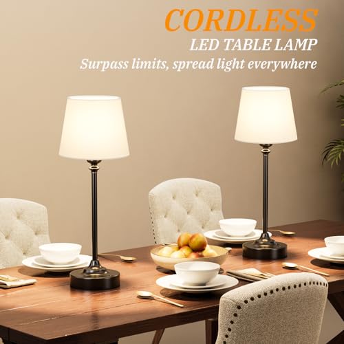 Cordless Table Lamps Rechargeable Set (2 Count)