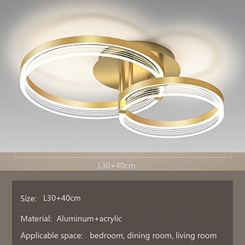 Chaners Ceiling Light Acrylic Ring Ceiling Light LED with Remote Control Dining Room Bedroom Lamp Living