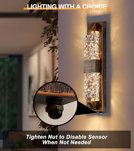 Outdoor Porch Light