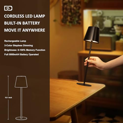 Cordless Table Lamp