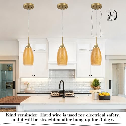 Mini Glass Pendant Light
