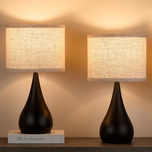 18.1'' Modern Touch Black Table Lamp Set of 2 with 3 Way Dimmable (2 Count)
