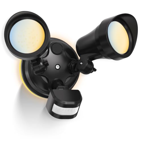 Motion Sensor Outdoor Lights