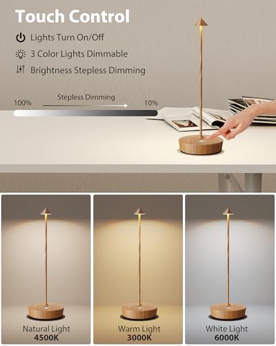 Cordless Table Lamp Rechargeable 6000mAh Battery Outdoor LED Light (2 Count)