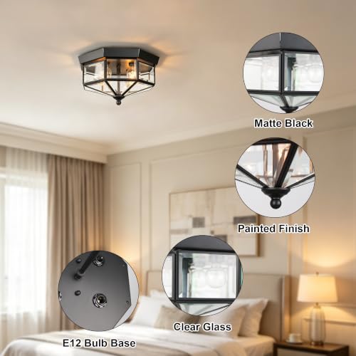 Flush Mount Outdoor Ceiling Light Fixture