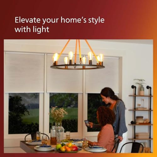 LED 40W ST19 2 (2 Count)