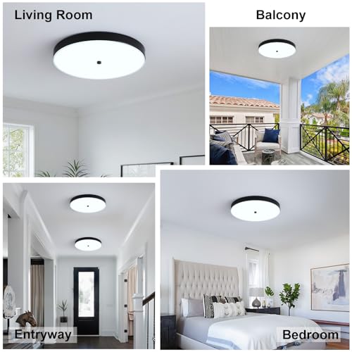 2 Pack Black Flush Mount Ceiling Light (2 Pack)