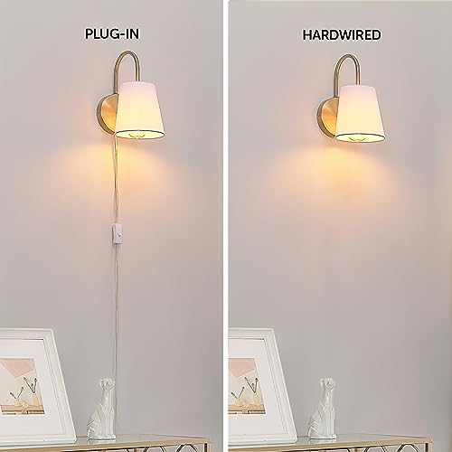 65000053 1 Light Hardwire or Plug