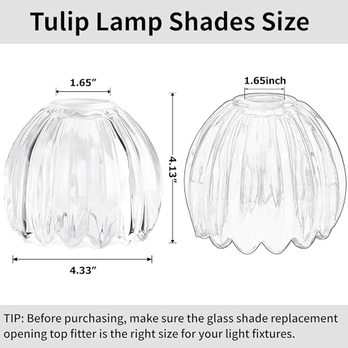 Clear Tulip Glass Lamp Shades 3Pcs (3 Count)