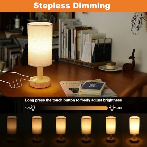 Rechargeable Cordless Touch Table Lamp with Stepless Dimming