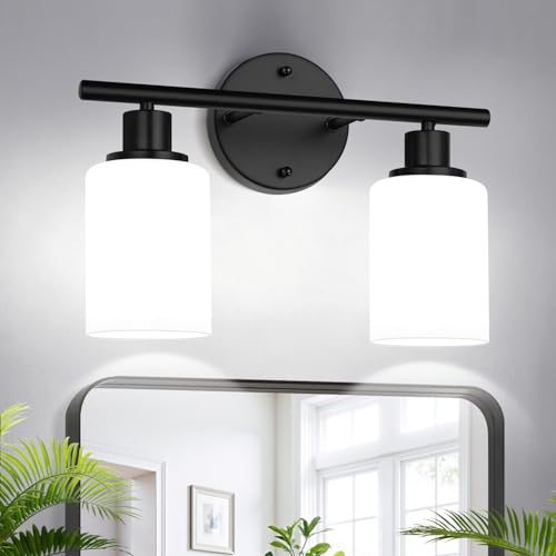 2 Light Bathroom Light Fixtures