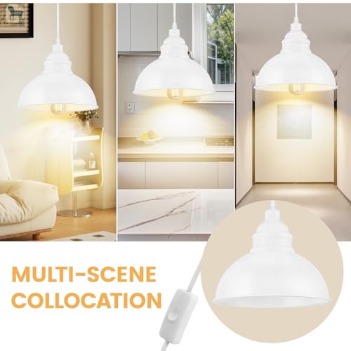 Plug in Pendant Light