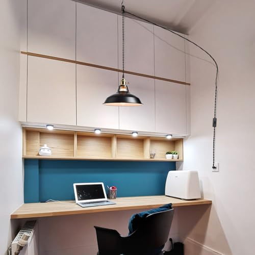Industrial Plug in Pendant Light