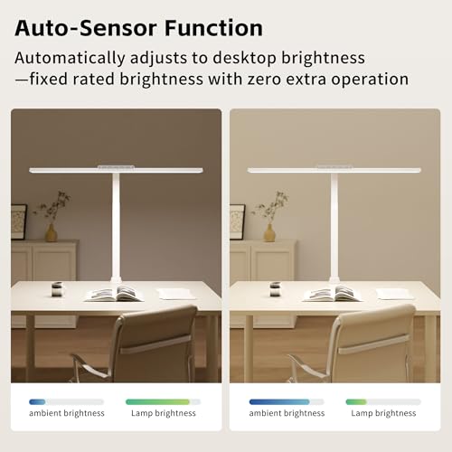 24W Desk Lamp with Clamp