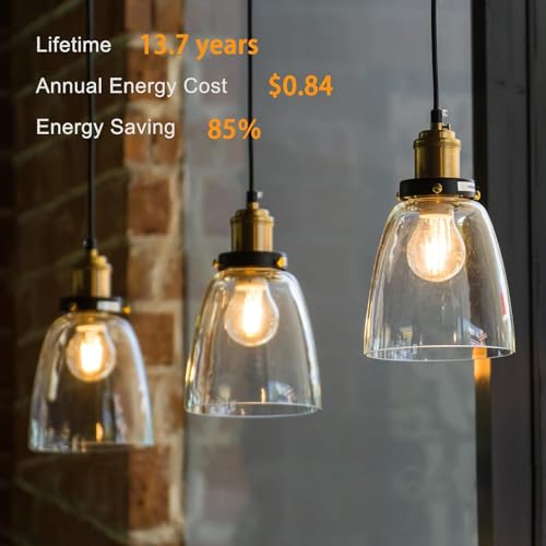 24 Pack A19 Vintage LED Edison Bulbs (24 Count)