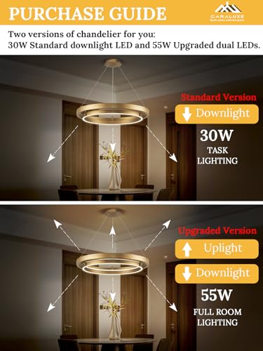 LED 2 Ring Brass Gold Chandelier Dimmable Up Down Light