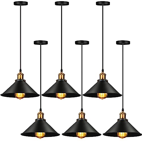6 Pcs Industrial Pendant Light (6 Count)
