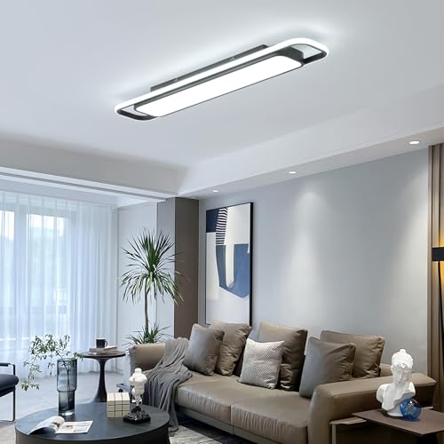 Modern LED Ceiling Light