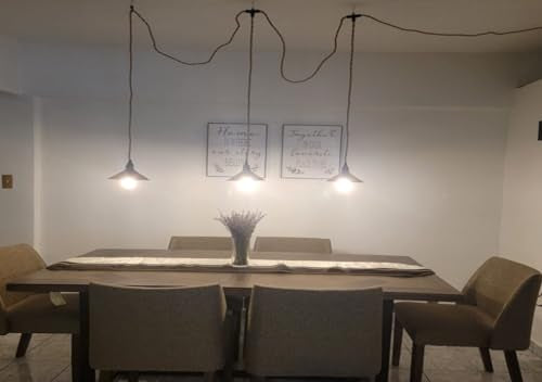 3 Light Hanging Light with Plug in Cord
