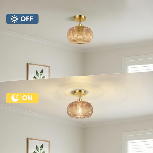 Semi Flush Mount Ceiling Light