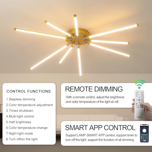 Modern LED Ceiling Light