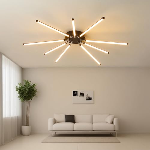 Modern LED Ceiling Light