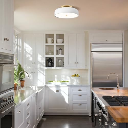 Dimmable LED Ceiling Light Fixture