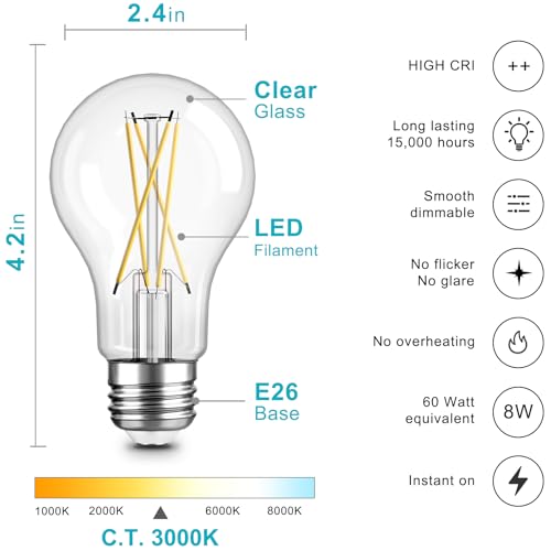A19 LED Edison Light Bulb (6 Count)