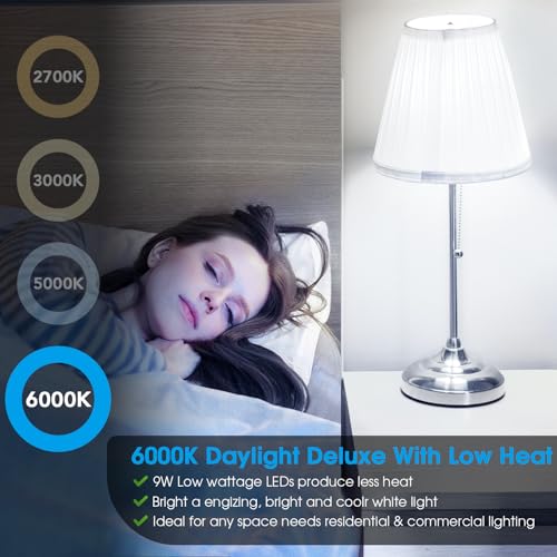 A19 LED Light Bulb (12 Count)