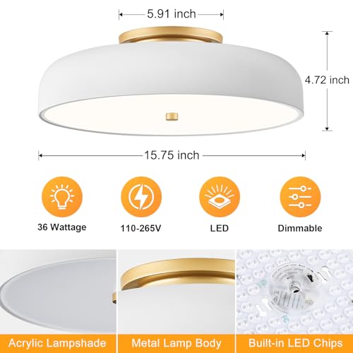 Dimmable LED Ceiling Light Fixture