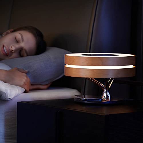 Bonsai Modern LED Bedside Smart Table Lamp with Built