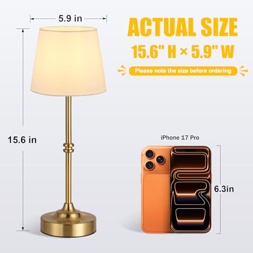 Cordless Table Lamp