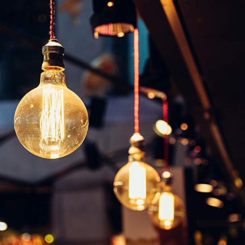 Edison Incandescent Light Bulbs 60 Watt (6 Count)