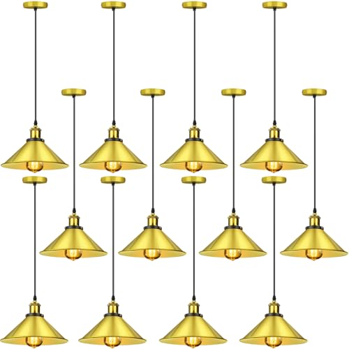 12 Pcs Industrial Pendant Light (12 Count)
