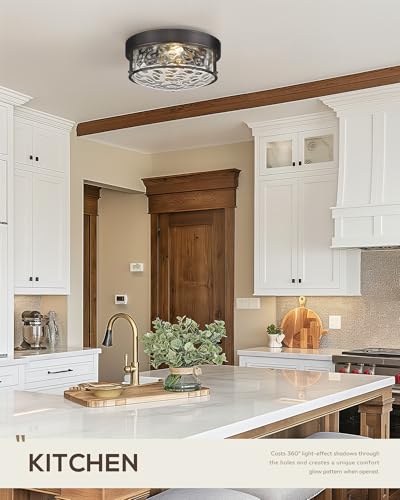Oil Rubbed Bronze Ceiling Mount Light