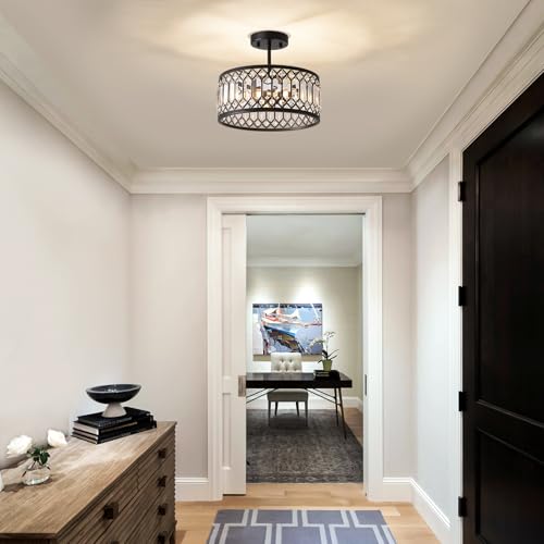 Crystal Black Ceiling Light