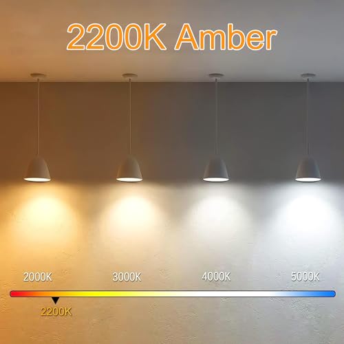 3.2 Inch 2200K Amber White E26 LED Bulb 60 Watt Equal (4 Count)