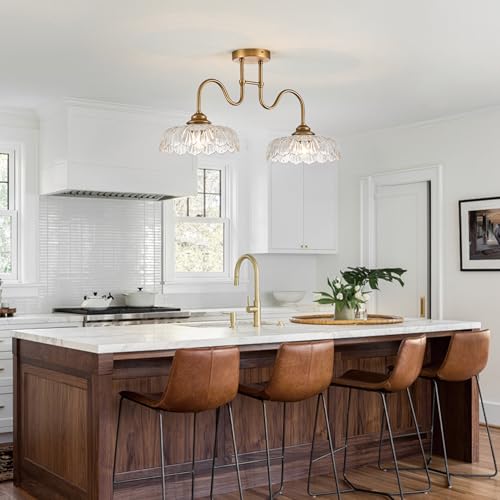 Glass Chandelier Ceiling Pendant Lighting Fixture 2 Lights Hanging Lamp for Bedroom Living Room Mater Room Hallway