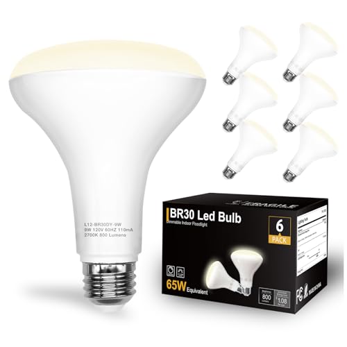 BR30 LED Light Bulbs Indoor Flood Light (6 Count)