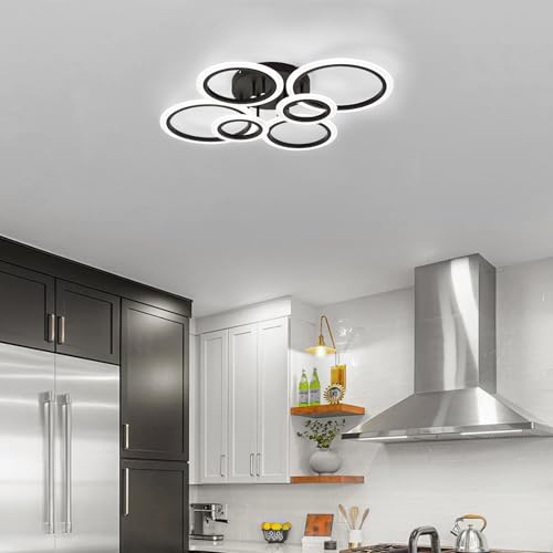 Modern LED Ceiling Light