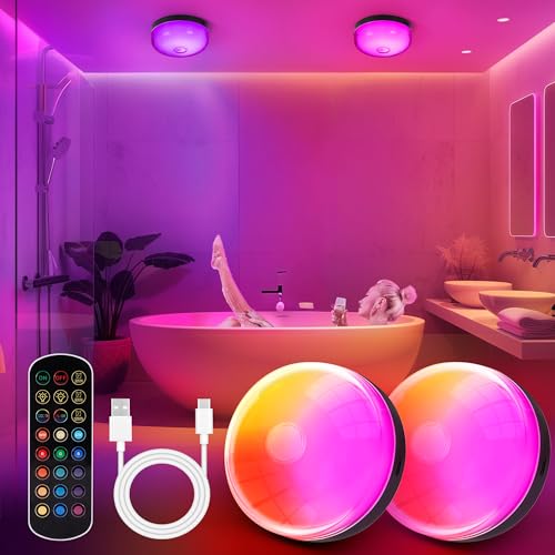 2 Pack Waterproof Shower Lights for Inside Shower (2 Count)