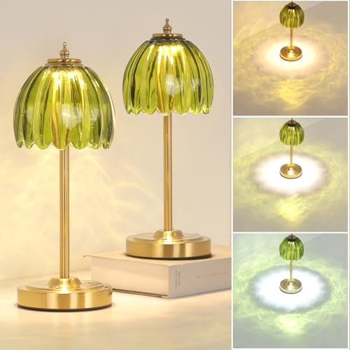 Set of 2 Tulip Table Lamp with 5000mAh Battery & Touch Control (2 Count)