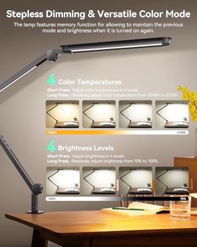LED Desk Lamp with Clamp
