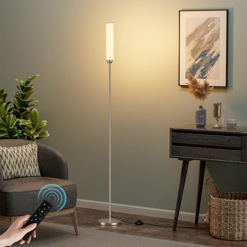 LED Floor Lamp with Remote Control