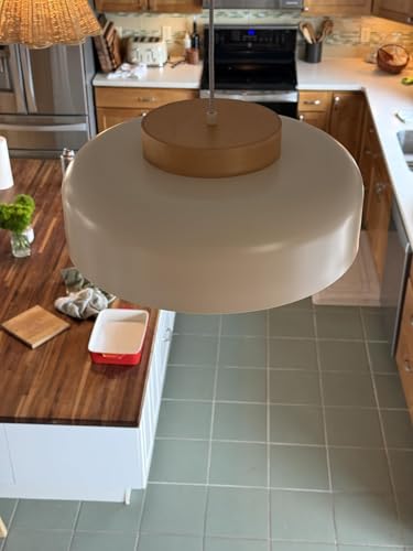 Modern Large Pendant Light