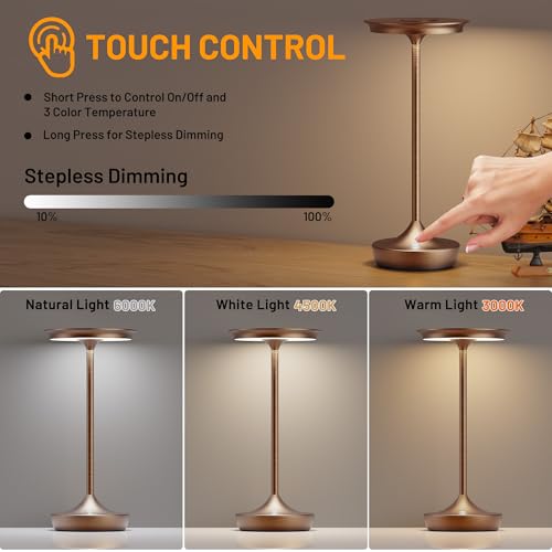 LED Rechargeable Cordless Outdoor 6000mAh Battery Table Lamp 2 (2 Count)